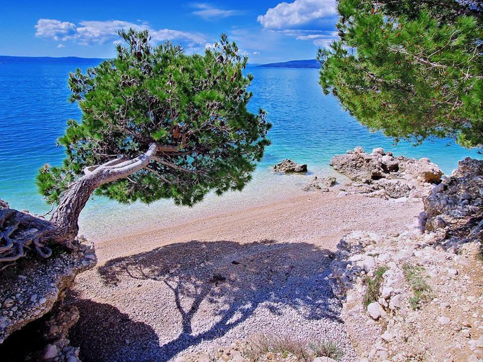 Apartman Andrijanic