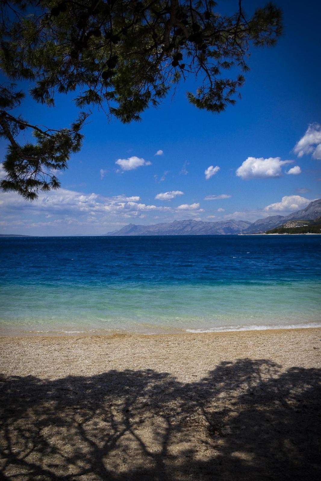 Apartman Andrijanic
