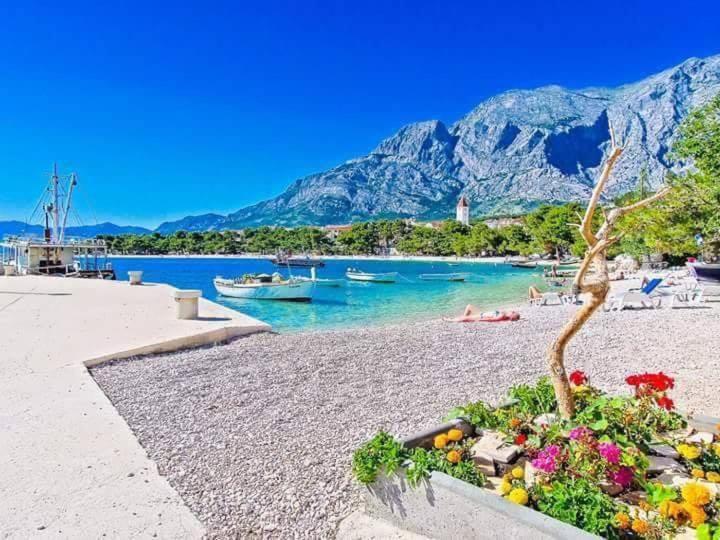 Apartment Andrijanic Baska Voda